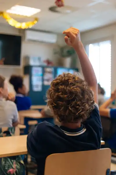 Student raising hand in class